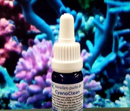 Korallenzucht CyanoClean 10ml