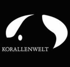 Korallenwelt