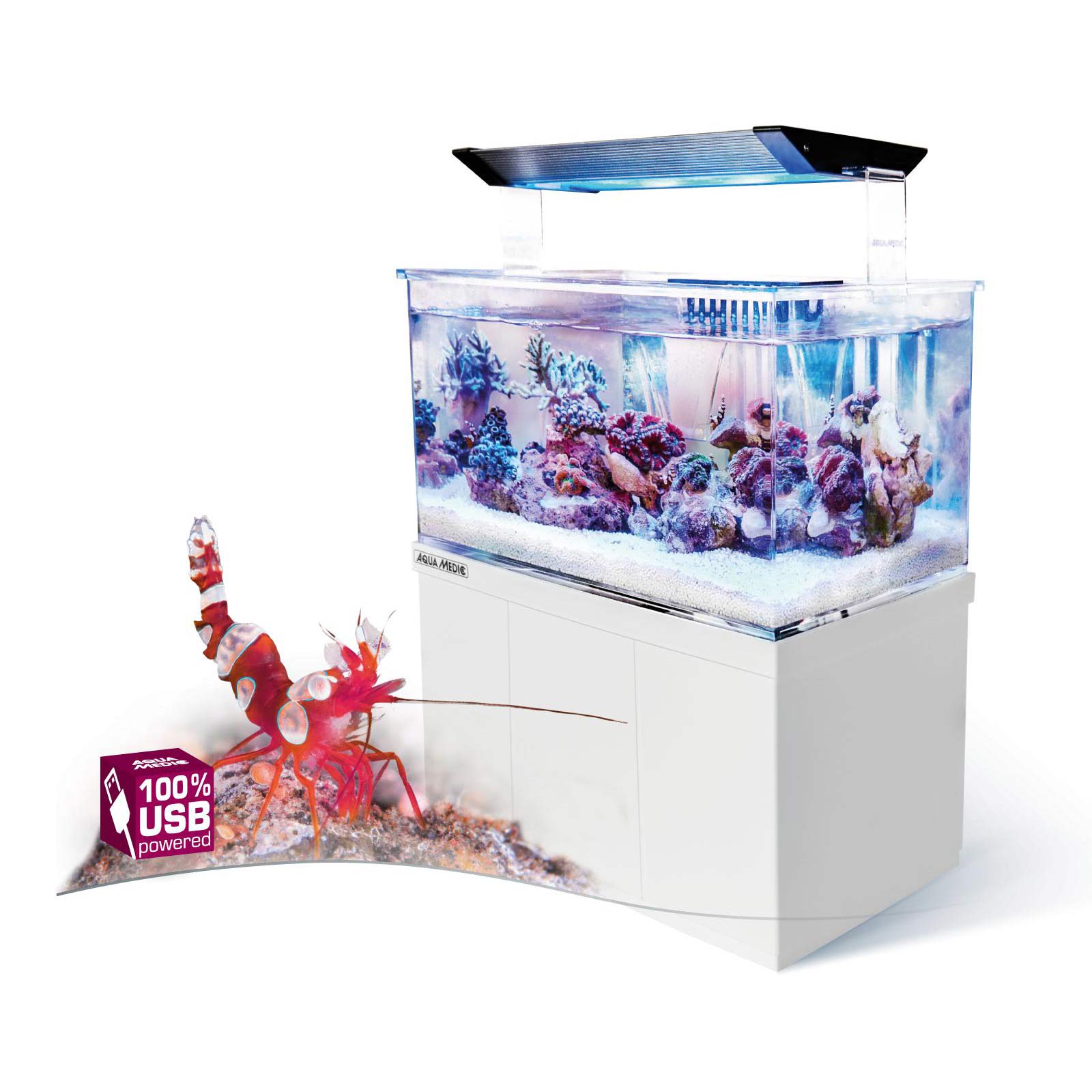 Bild von Aqua-Medic Armatus XS | Micro Süss -/ Meerwasser Aquarium 4 L