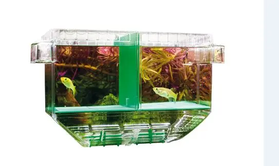 Bild von Hobby NIDO 1 Ablaichbehälter
