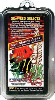 red-seaweed-jpg_2Jh0qyZFCWOrk4 Ocean Nutrition Futteralgen
