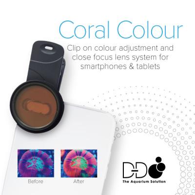 Bild von D-D Coral Lense XL - Linse für Smartphone