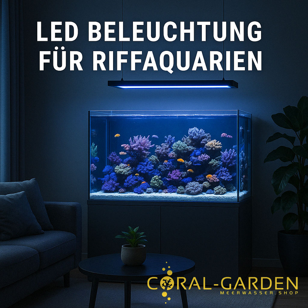 Aqua-Medic-LED-Beleuchtung Kategoriebild-Aqua-Medic-LED-Beleuchtung