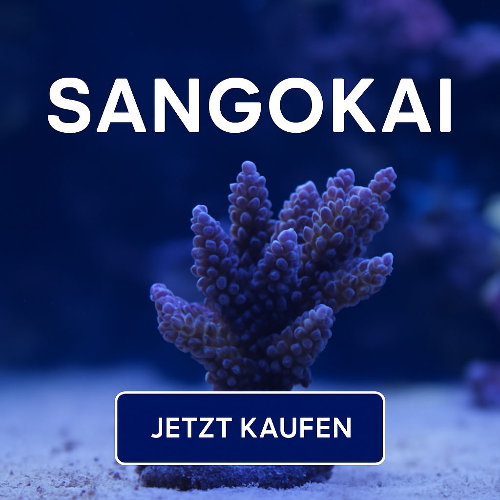 Sangokai Produkte Kategoriebild Sangokai Produkte