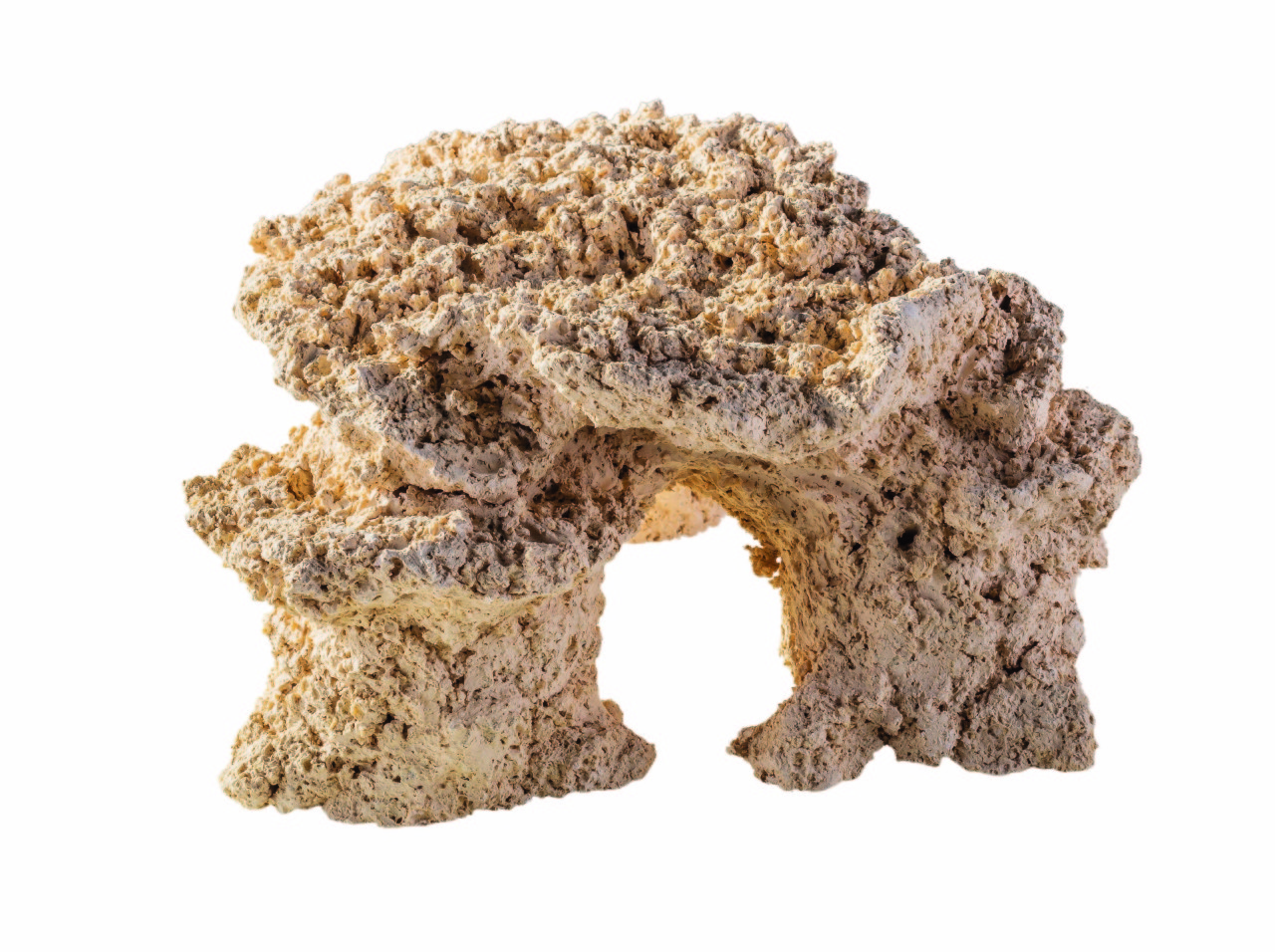 riffplateu-arka-riffkeramik-riffaufbauNKHRdDF9v7ZIJ