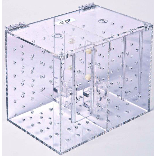 Eingewöhnungsbox mit 2 Kammern Eingewöhnungsbox mit 2 Kammern