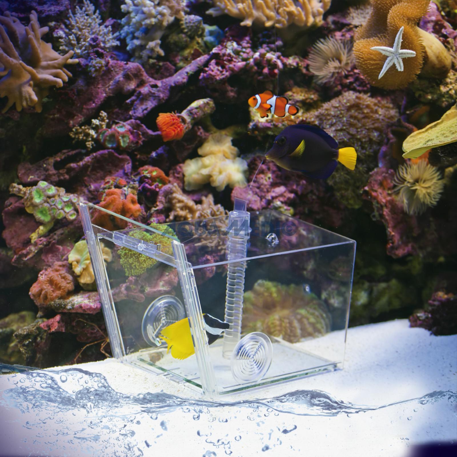 Aqua-Medic FISH TRAP Fisch Falle