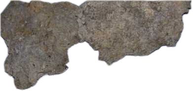 Bild von Riffplatten 20-30 cm kg Ware