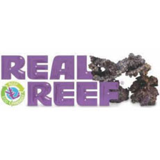 Real Reef Real Reef