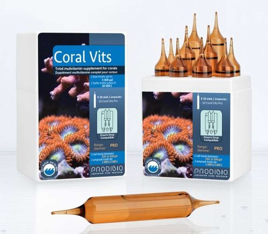 3084_1_prodibio_coral_vits_pro3ZHgiGiZYdYnL Prodibio Coral Vits hochkonzentrierte Vitaminlösung