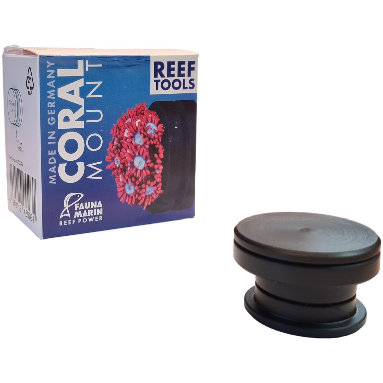 Fauna Marin Coral Mount Coral Ø 4cm
