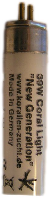 coral-light-new-1SP4GcWO8wThuK Korallenzucht Coral Light New Generation