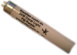 907_0aZilCeDl7rKFS Coral Light Fiji Purple 80W T5
