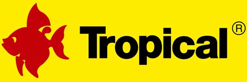Tropical Tropical