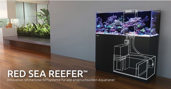 Red Sea Reefer Meerwasseraquarium Komplett Red Sea Reefer Meerwasseraquarium Komplett