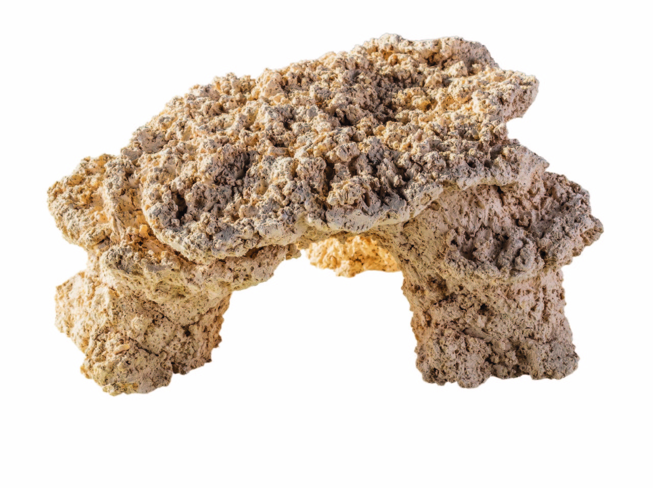 riffplateu-arka-riffkeramik-riffaquariumNy2YatkMEGQwY