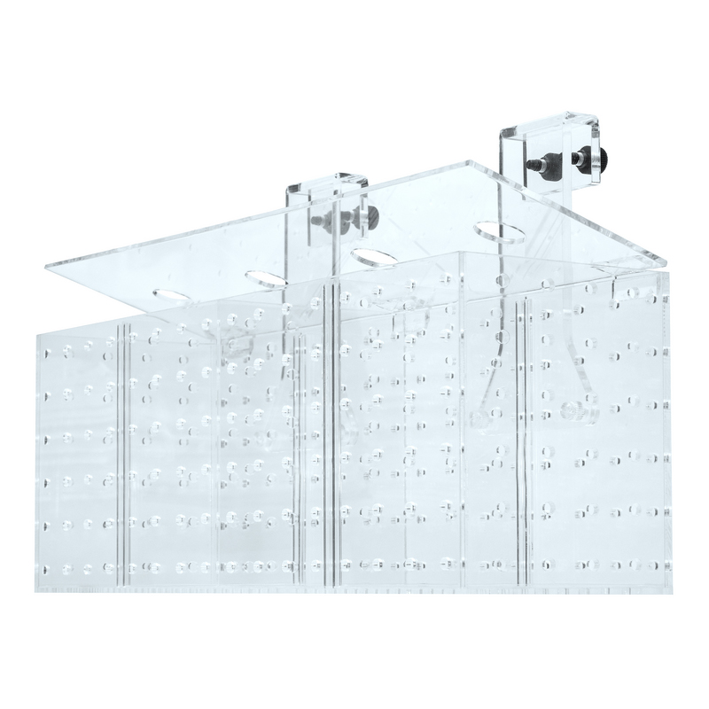 Grotech Akklimatisierungsbox 2-Kammern Grotech Akklimatisierungsbox 2-Kammern