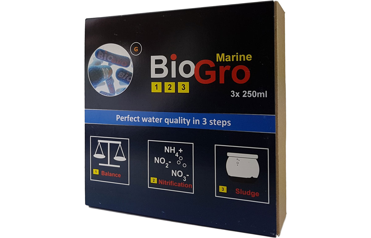 dvh-biogro7jzr0Lftkxzeg