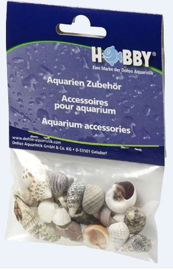 hobby_schneckenhaeuser_gr_s_verpackung3KJ6ClX6RTq63