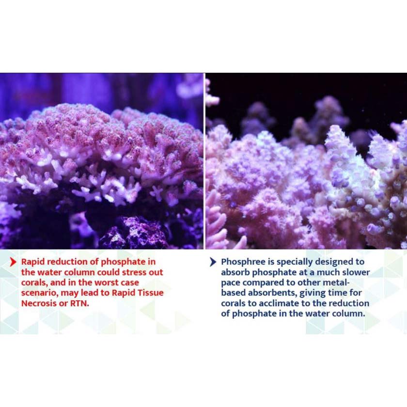 Bild von Maxspect Nano Tech Phosphree | Polymerharz zur Phosphatreduzierung