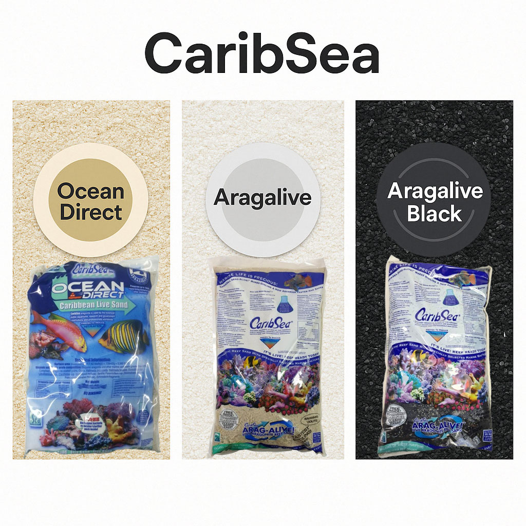 CaribSea Live Sand Ocean Direct und Aralalive Kategoriebild CaribSea Live Sand