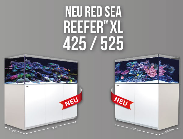 Red Sea REEFER XL Meeresaquarium Red Sea REEFER XL Meeresaquarium