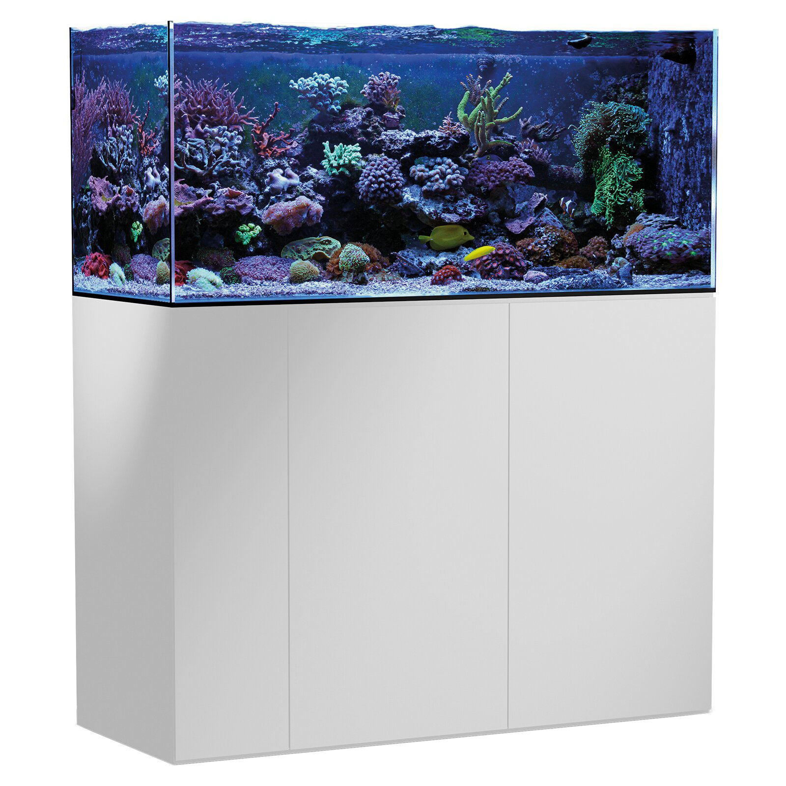 Meerwasseraquarium Aqua-Medic Armatus Series Bild Meerwasseraquarium Aqua Medic Armatus
