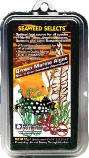 brown-seaweed-jpg_3Yqhtmze5HRoEK Ocean Nutrition Futteralgen