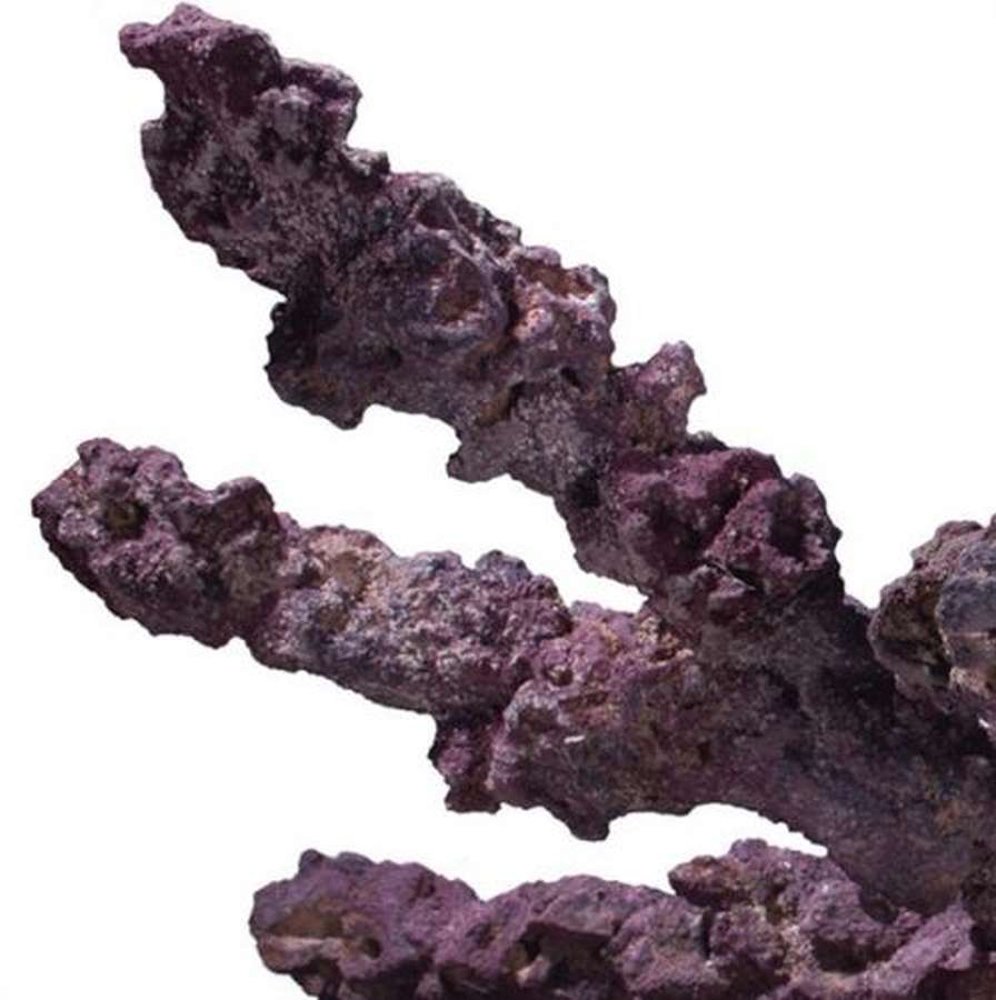 3191_1_lebende_steine_meerwasseraquariumtrxeEUAUz54Za CaribSea Life Rock Belize Branch 9,07 kg