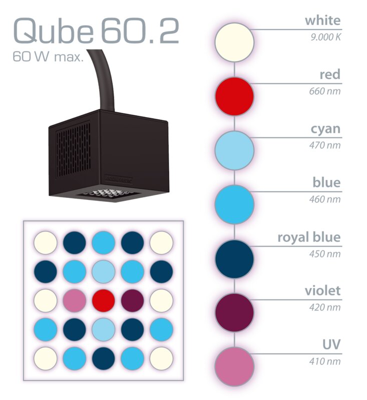 Aqua Medic Qube 60.2 – High-Power LED-Spot mit CoralSync App-Steuerung | Meerwasser