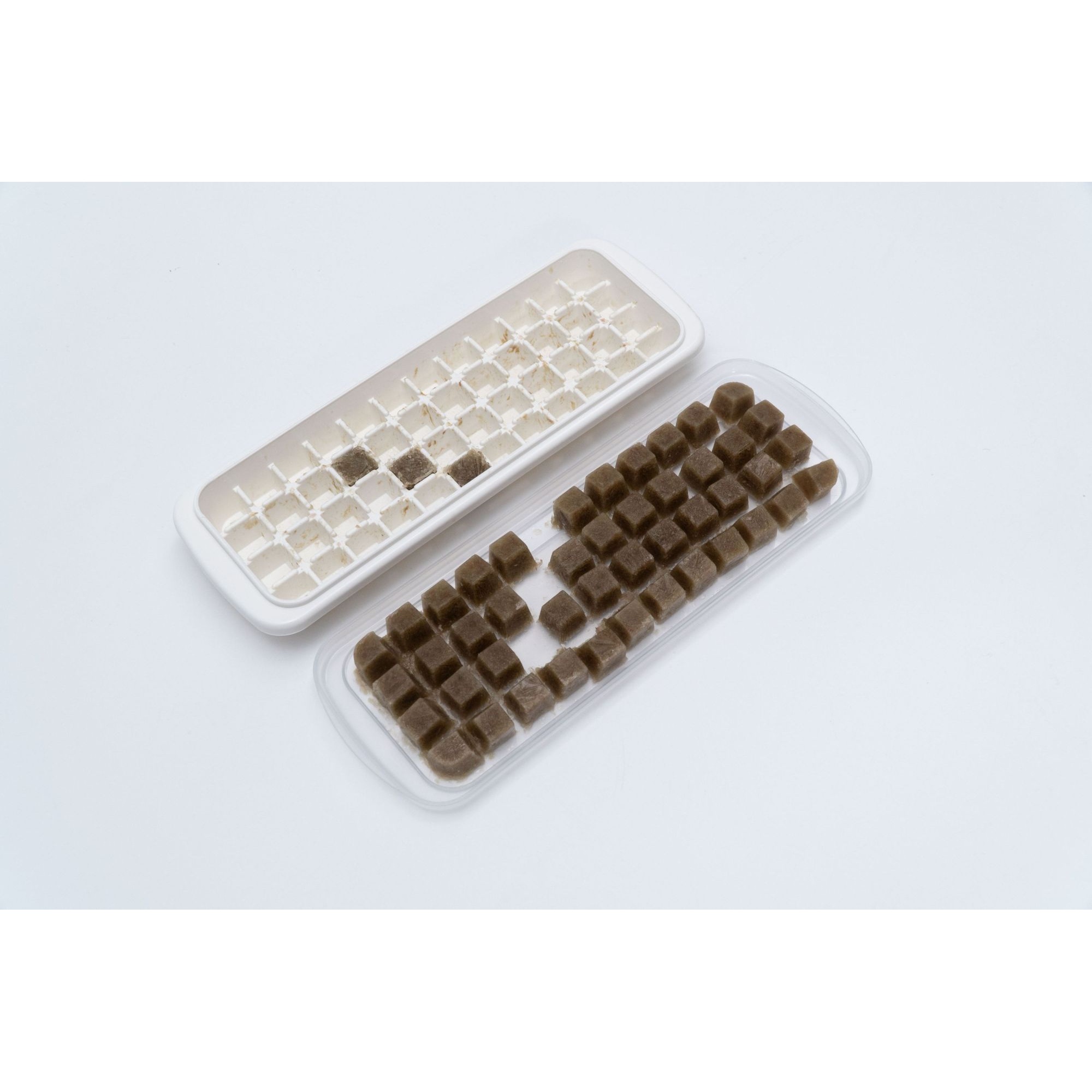 Darstellung Maxspect Frozen Foods Mold