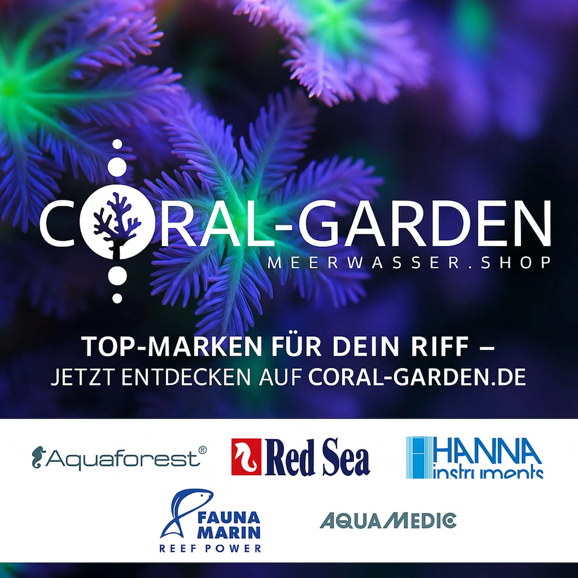 Top-Marken für dein Riff: Aquaforest, Red Sea, Hanna Instruments, Fauna Marin, Aqua Medic