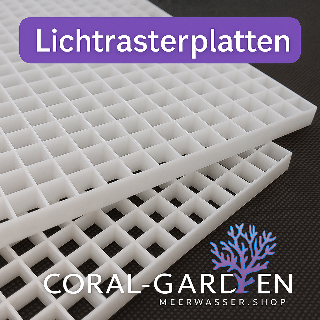 Lichtrasterplatten Promo Startseite