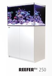 Bild von Red Sea Reefer Meerwasseraquarium Komplett