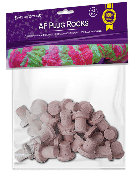 Aquaforest Ablegersteine Purple mit Fuß | ca. 2 cm 24 Stück