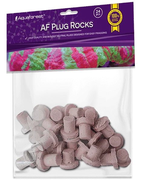 Aquaforest Ablegersteine Purple mit Fuß | ca. 2 cm 24 Stück