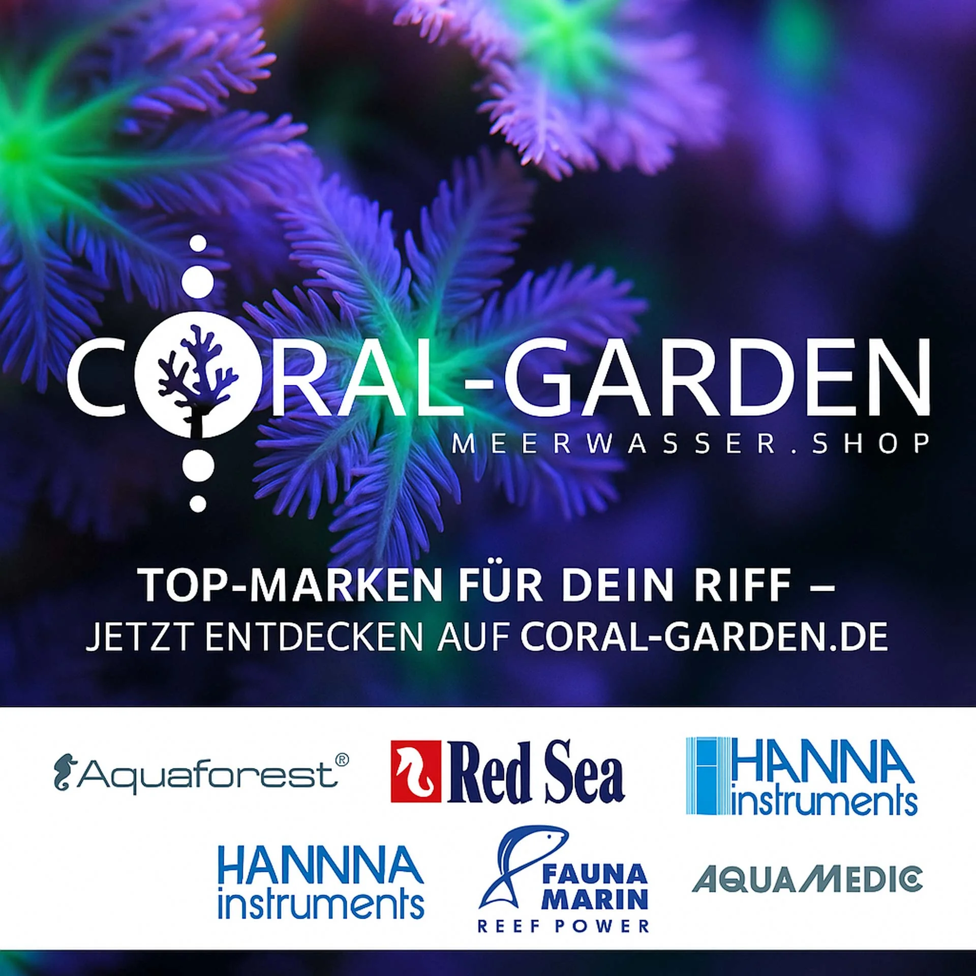 Top-Marken für dein Riff: Aquaforest, Red Sea, Hanna Instruments, Fauna Marin, Aqua Medic