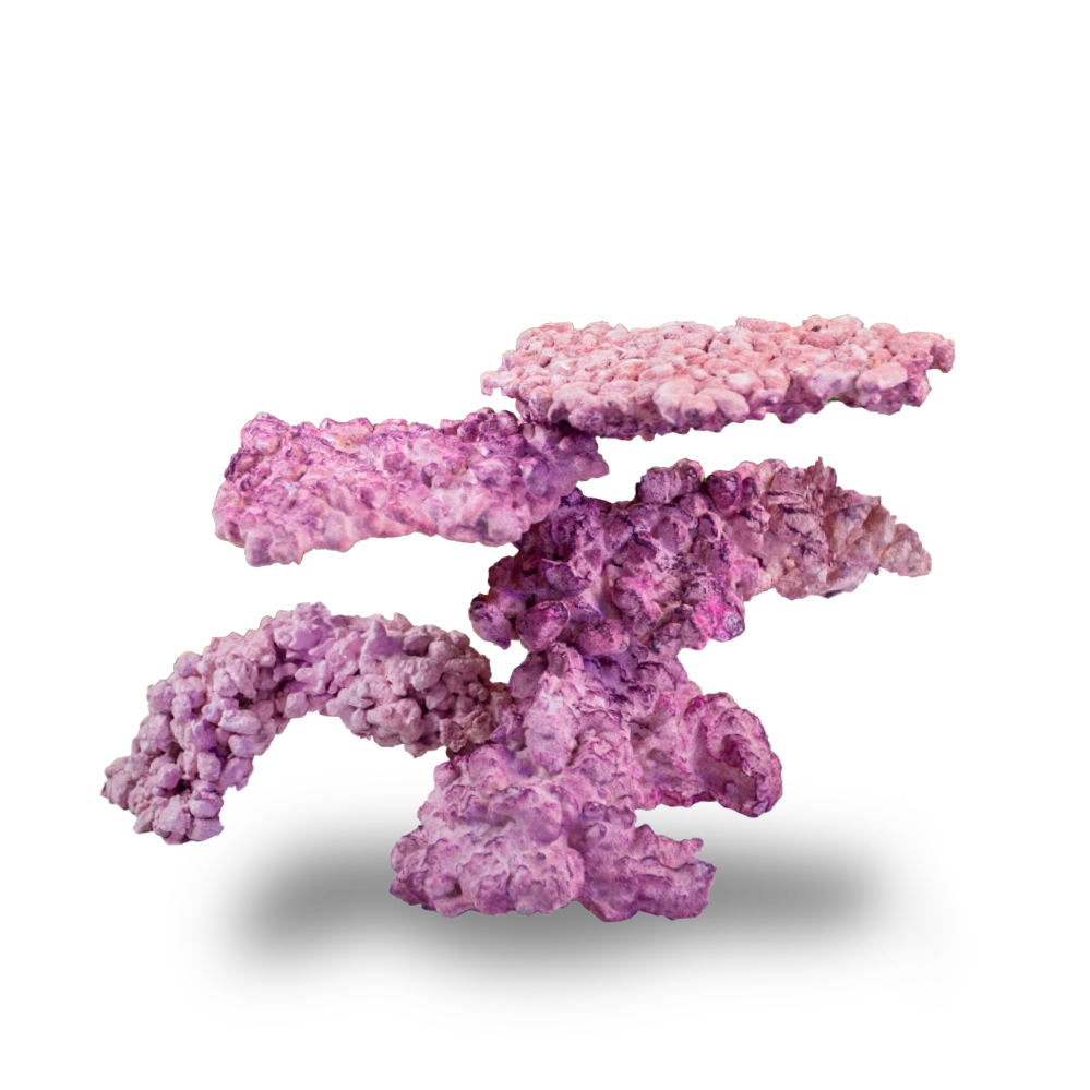 Aquaforest AF Nano Rock