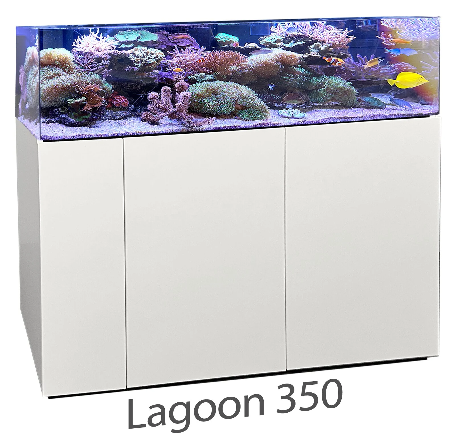 Aqua Medic Armatus Lagoon 350 – Rahmenloses Korallenaquarium mit Unterschrankfiltersystem