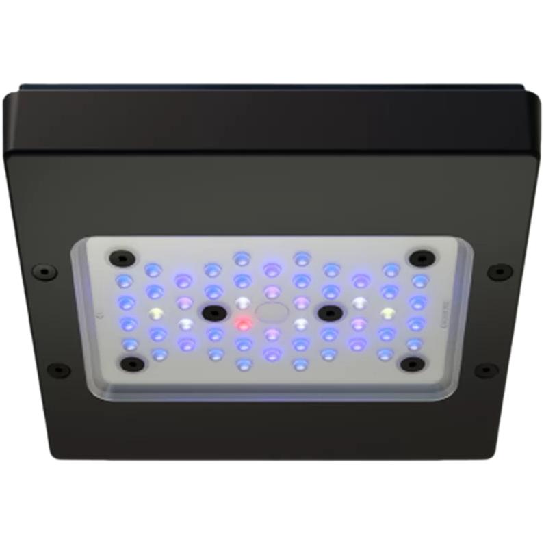 ecotech-marine-radion-g6-blue Ecotech Marine Radion XR 15 G6 Blue | Meerwasser LED Leuchte | höherer Blauanteil