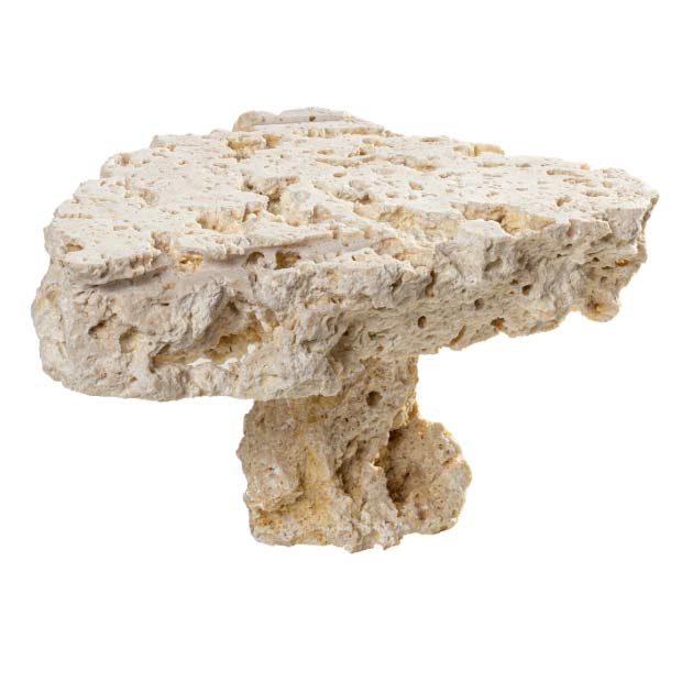 ARKA Aquatics myReef-Plates beidseitig geschnitten inkl. Sockel | 10-20 cm