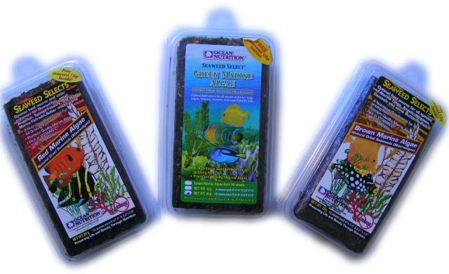 algenblaetterU7ggtC5VcSoWH Ocean Nutrition Futteralgen