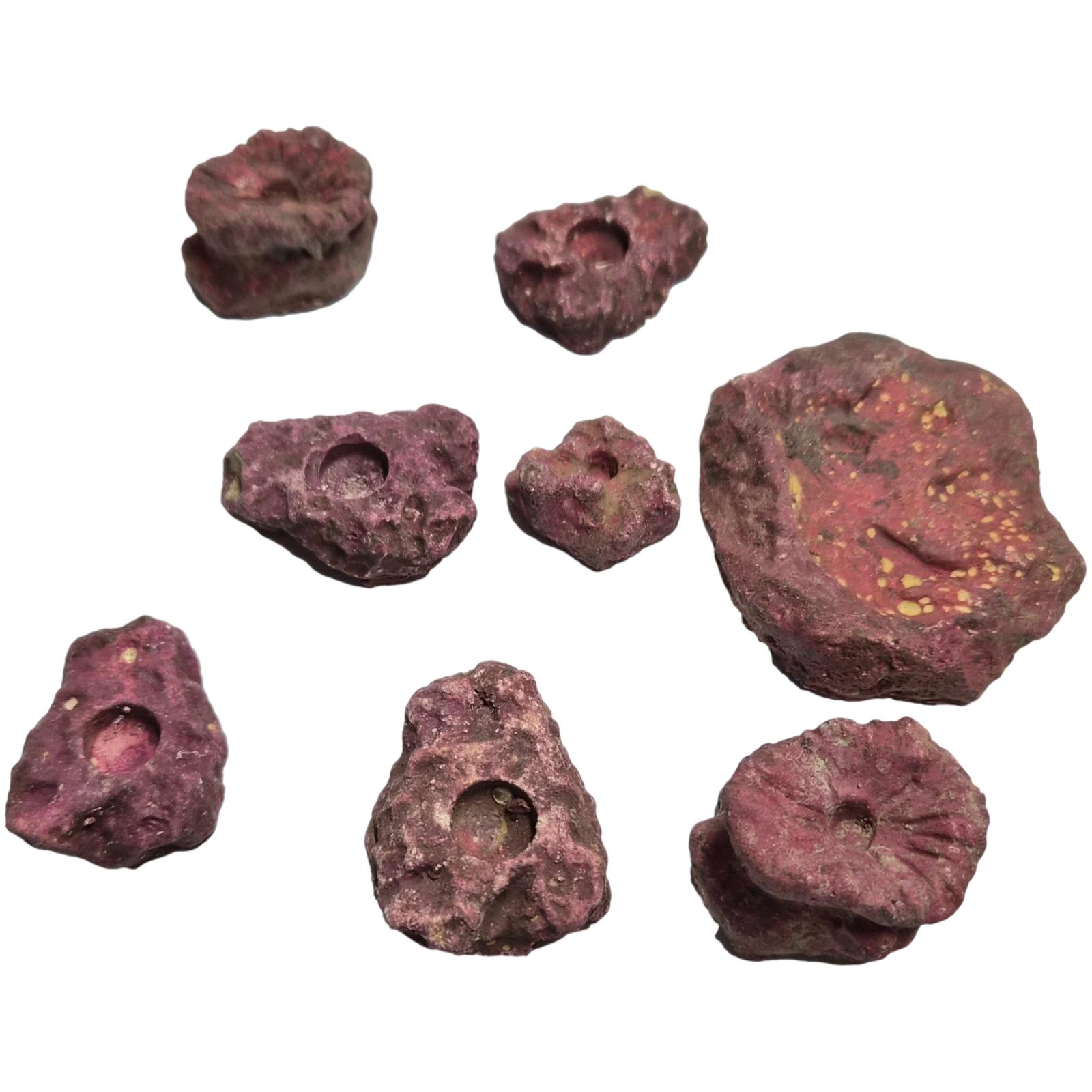 Real-Reef Frag Rocks | 25 Stück Ablegersteine verschiedene Größen