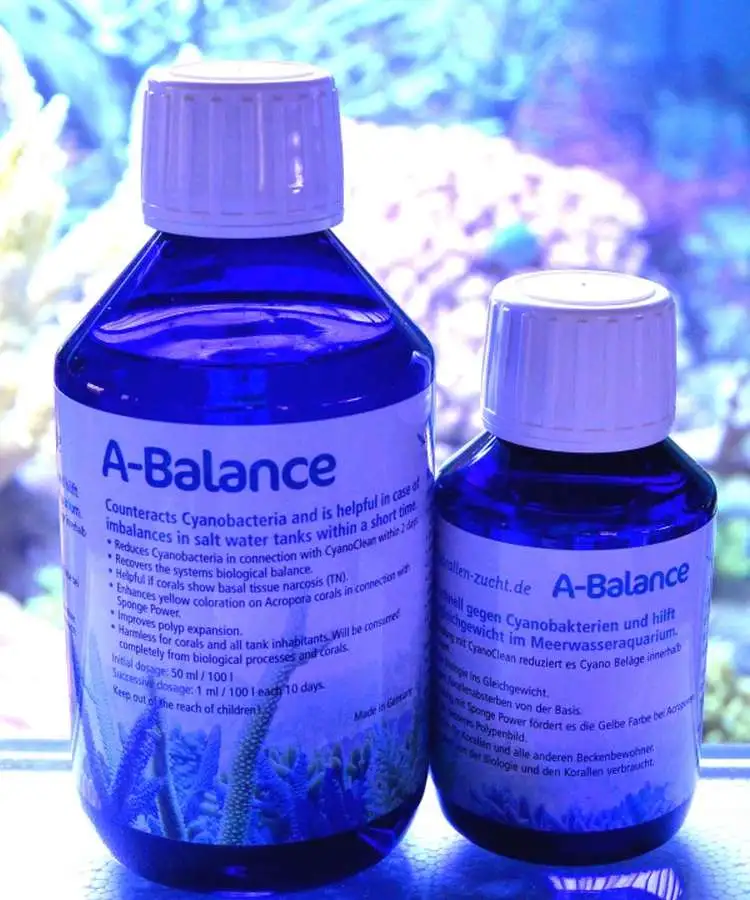 Bild von Pohl´s A-Balance