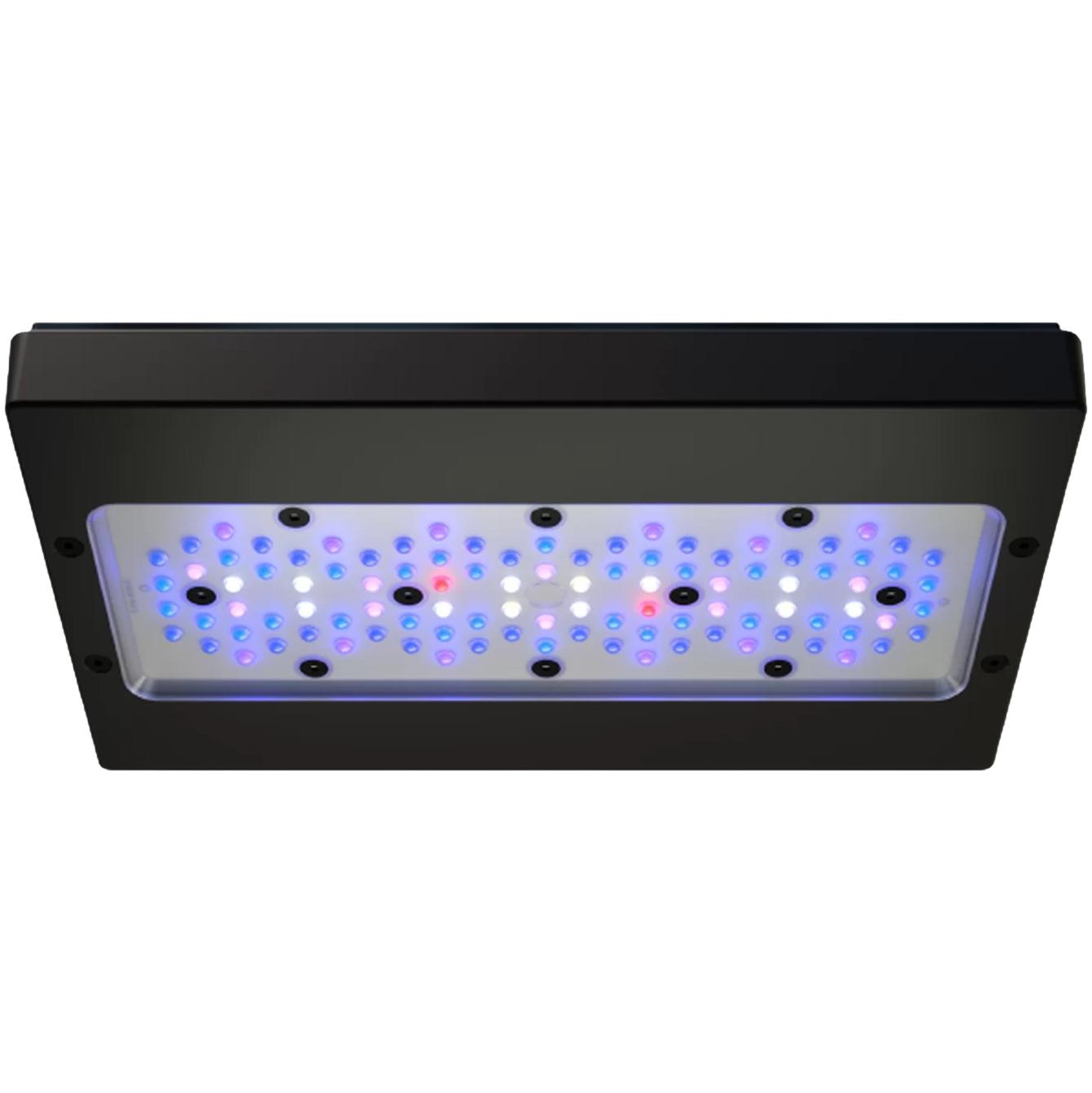 ecotech-marine-radion-g6-unten Ecotech Marine Radion XR 30 G6 Blue | Meerwasser LED Leuchte | höherer Blauanteil