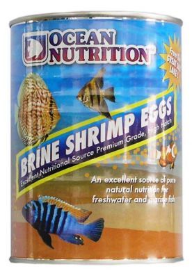 Ocean Nutrition Artemia Eier