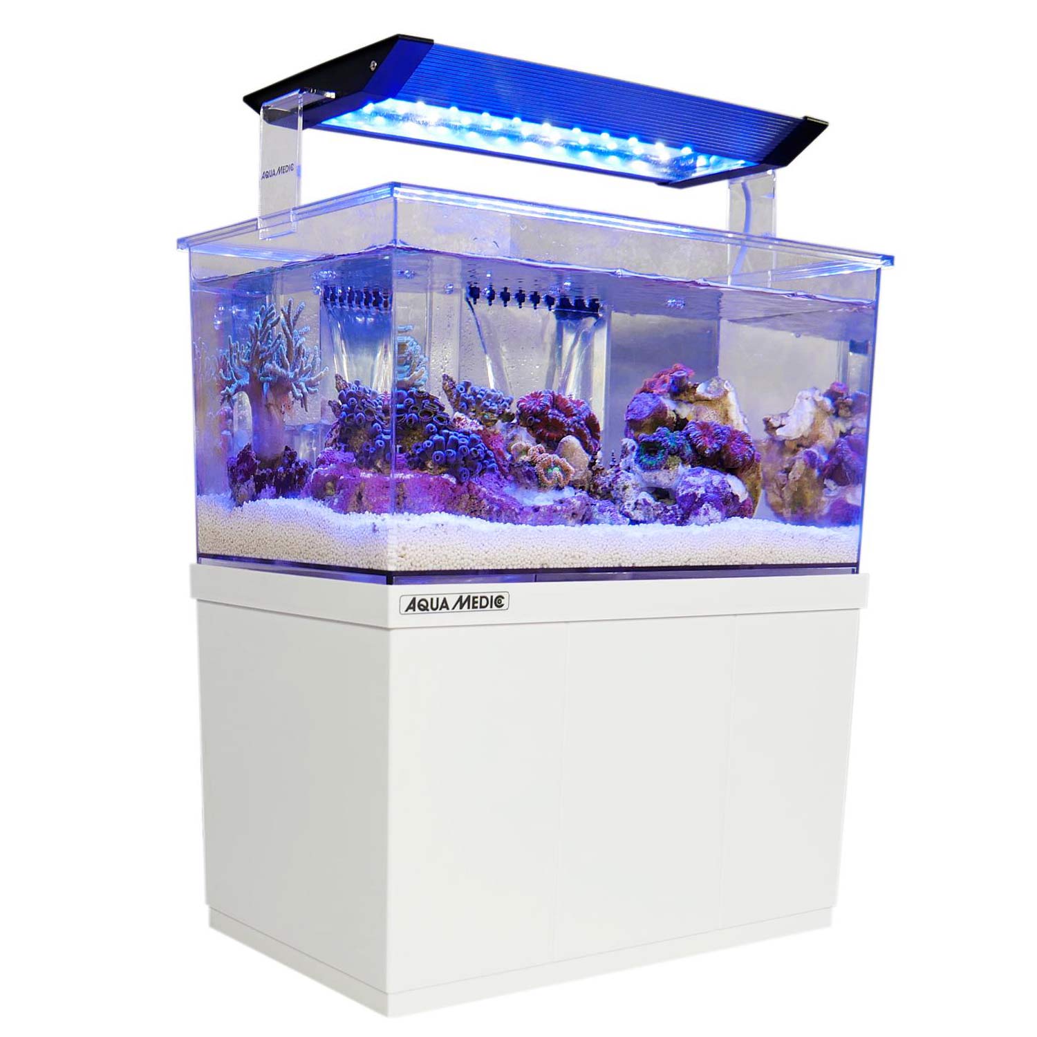 Bild von Aqua-Medic Armatus XS | Micro Süss -/ Meerwasser Aquarium 4 L