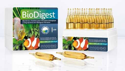 Prodibio BIO DIGEST 30 Ampullen