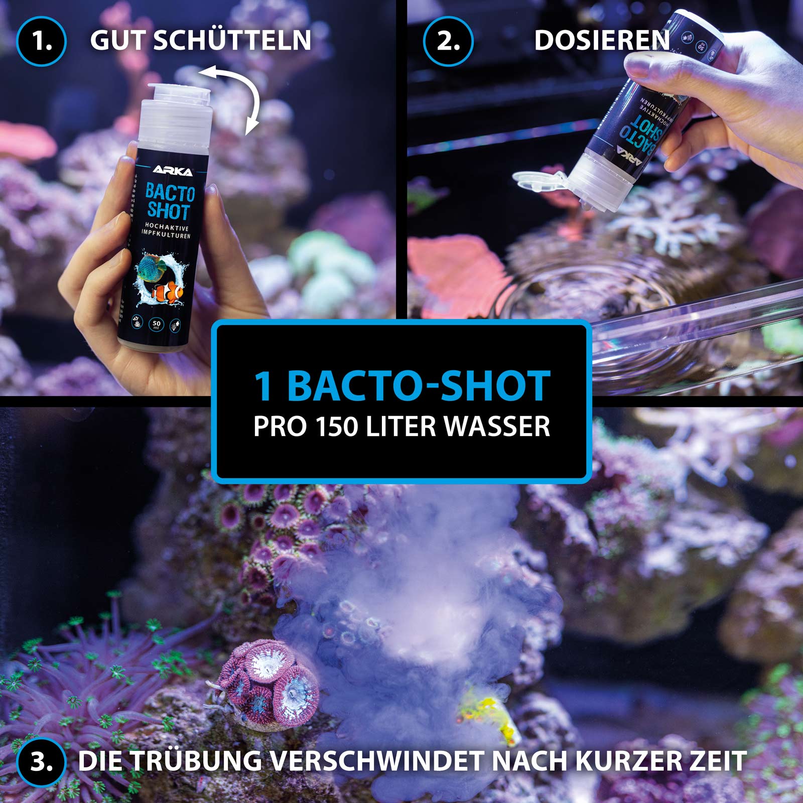 Bild von ARKA BACTO-SHOT 50 ml | HOCHAKTIVE IMPFKULTUREN