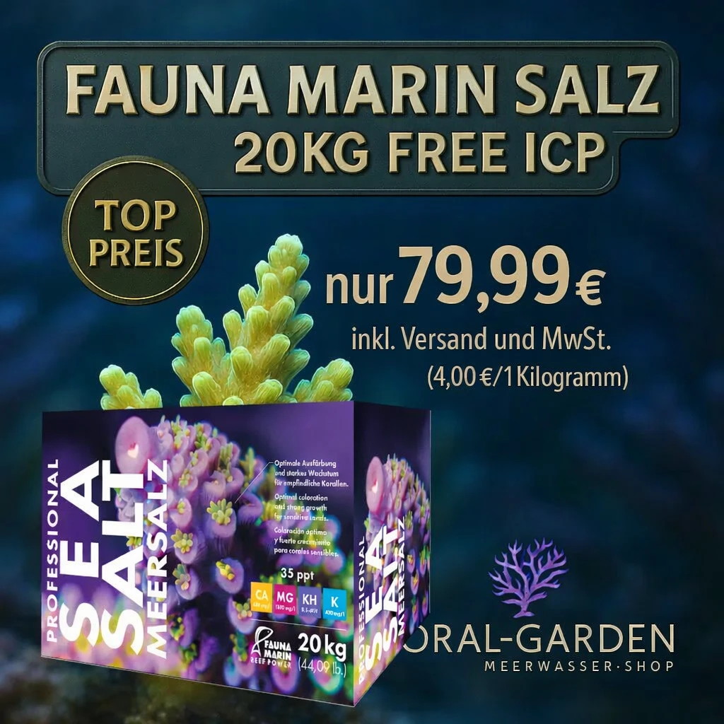 Angebot Fauna Marin Salz mit gratis ICP Analyse